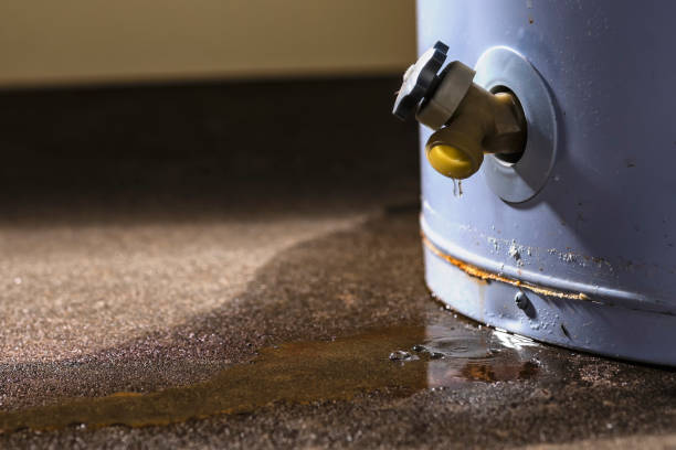 Best 24-hour water damage restoration  in Lakeshire, MO