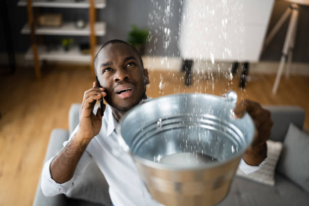 Best Basement water damage restoration  in Lakeshire, MO