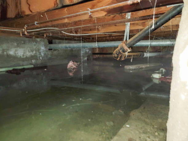 Best Water damage restoration near me  in Lakeshire, MO