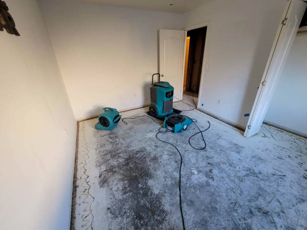 Best Water damage contractors near me  in Lakeshire, MO