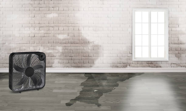 Sewage cleanup and water damage restoration in Lakeshire, MO